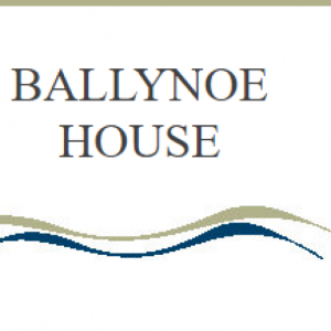 (c) Ballynoehouse.ie