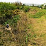 Rehabilitation of the Lower Meadow margins
