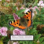 Ballynoe House is Butterfly-Friendly